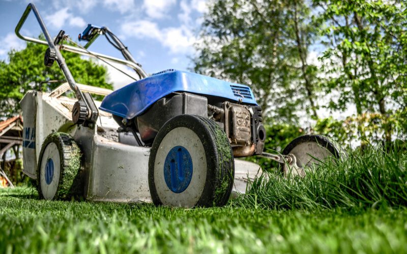 Hoe houd je je planten en je gazon netjes?